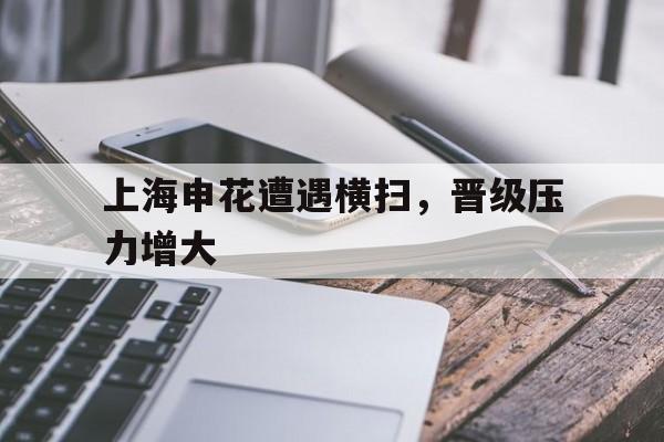 上海申花遭遇横扫，晋级压力增大的简单介绍
