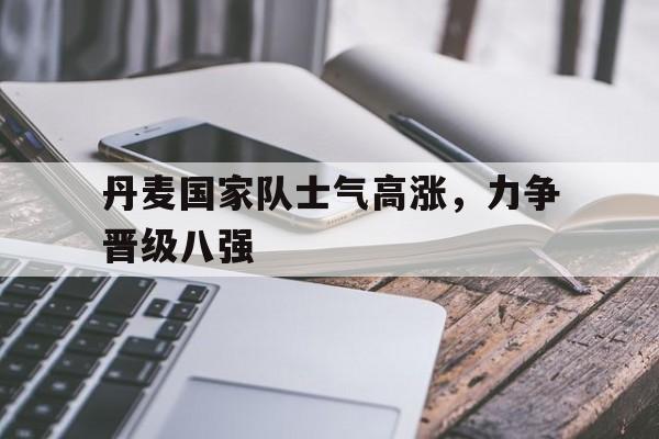 丹麦国家队士气高涨，力争晋级八强