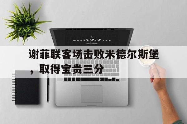 包含谢菲联客场击败米德尔斯堡，取得宝贵三分的词条
